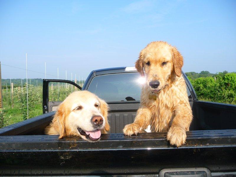 Tess and Logan